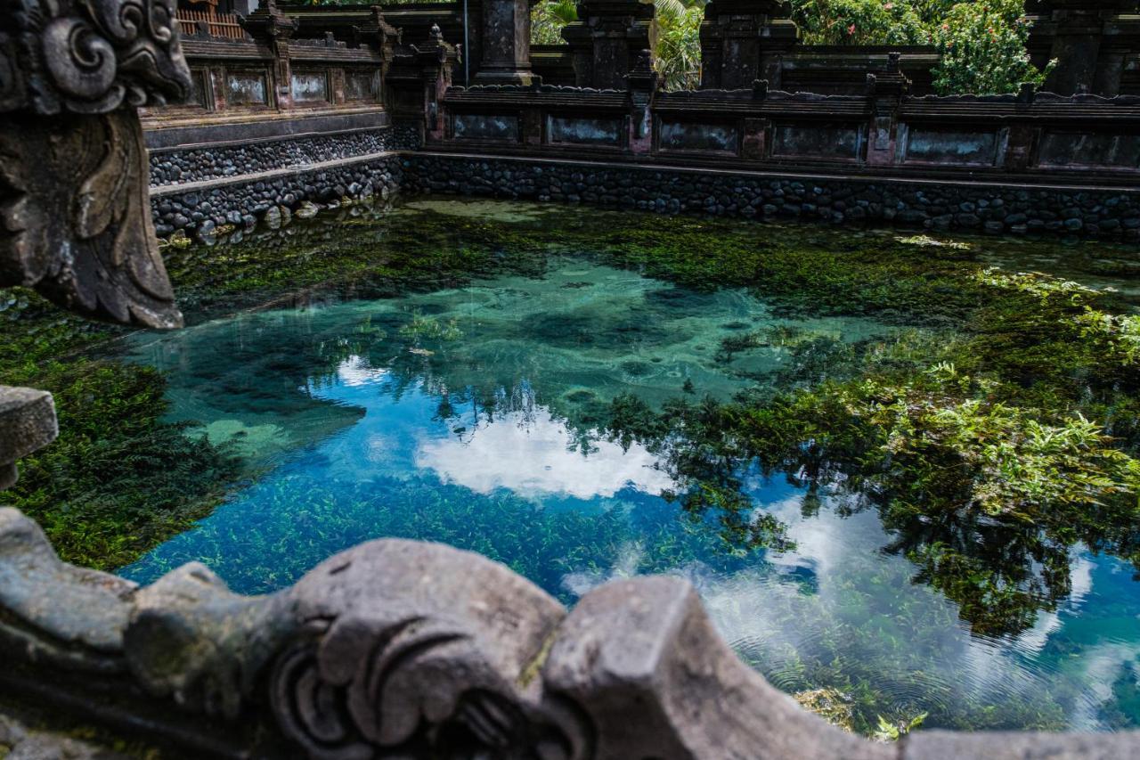 Asri Cinta Villa Ubud Екстериор снимка