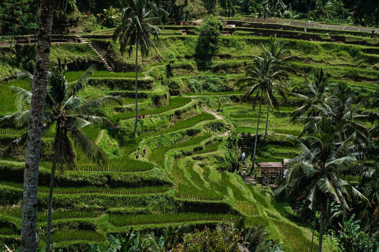 Asri Cinta Villa Ubud Екстериор снимка