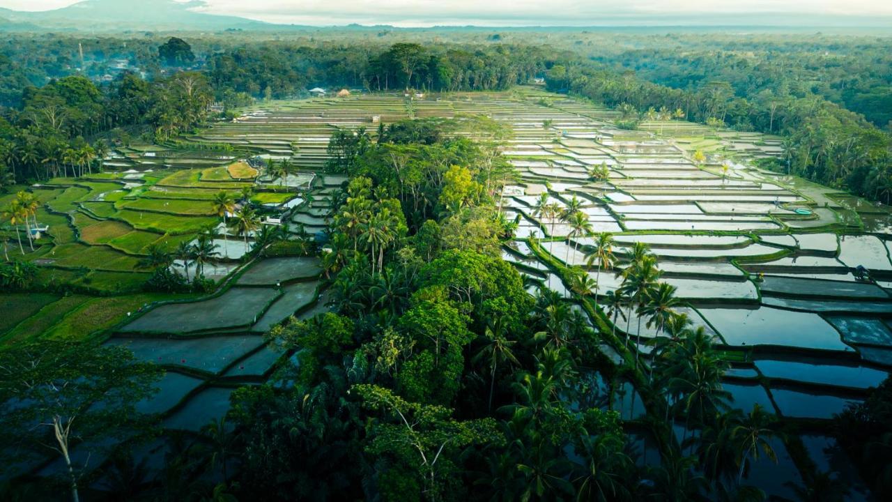 Asri Cinta Villa Ubud Екстериор снимка